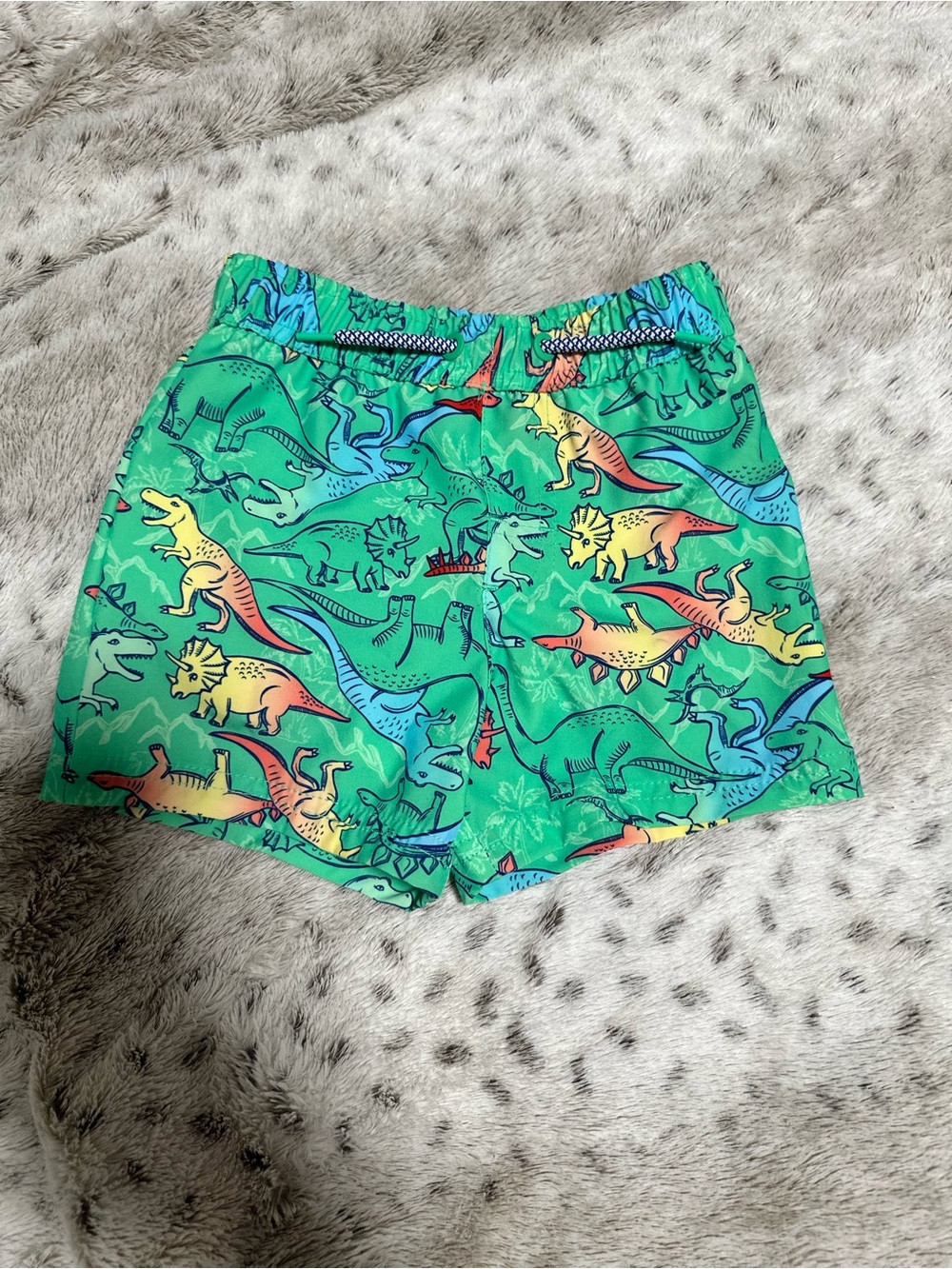 Kids Green Dinosaur Swim Shorts